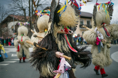 Cirkovški fašenk 2016