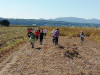 img_20200908_120637